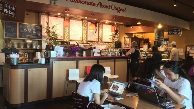 Monkey Nest Coffee