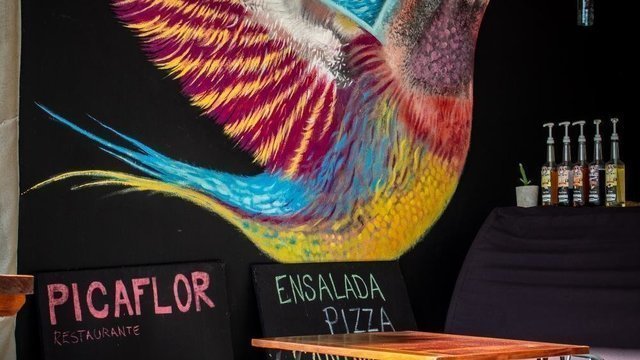 Picaflor Bacalar