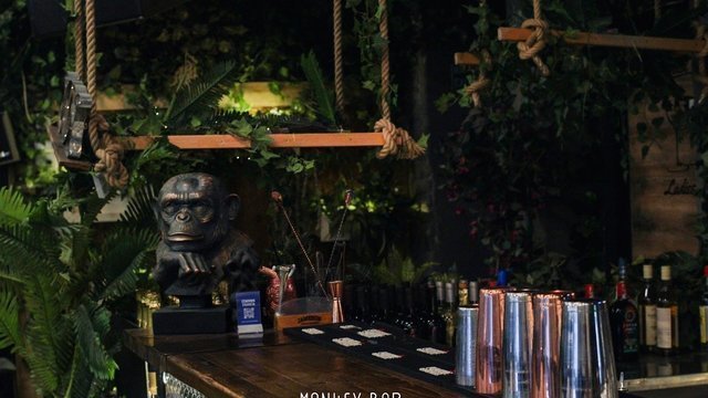 Monkey Bar Belgrade