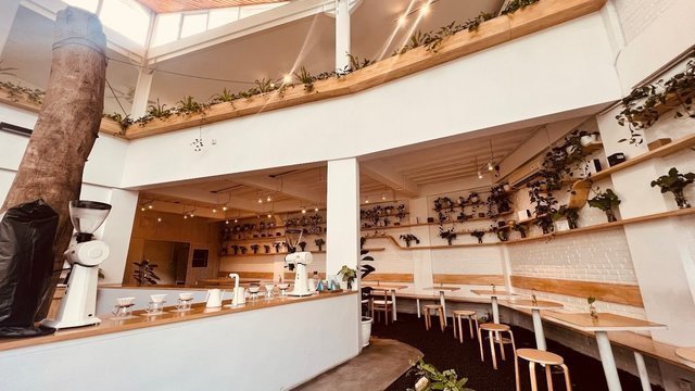 Miel Coffee Canggu