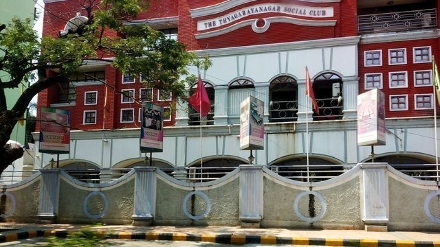 T Nagar Social Club