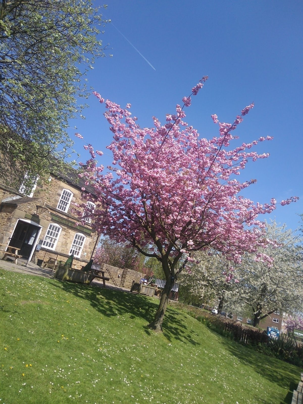 <span class="translation_missing" title="translation missing: en.meta.location_title, location_name: Holme Hall Inn, city: Chesterfield">Location Title</span>