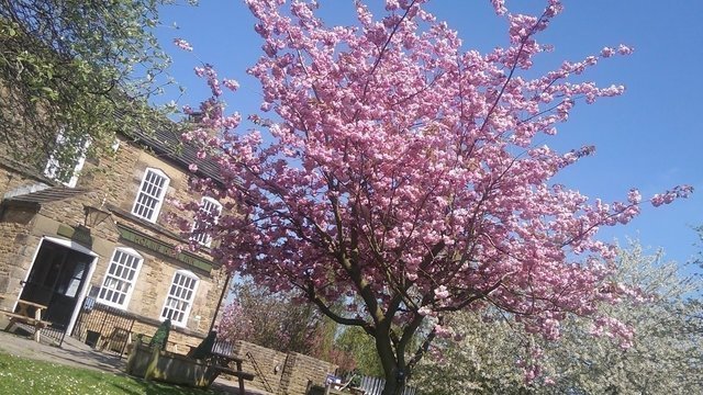 Holme Hall Inn