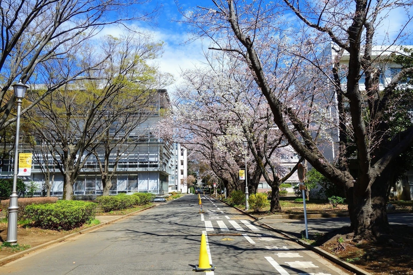 <span class="translation_missing" title="translation missing: en.meta.location_title, location_name: Chiba University - Nishi-Chiba Campus, city: Chiba">Location Title</span>