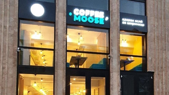Coffee Moose