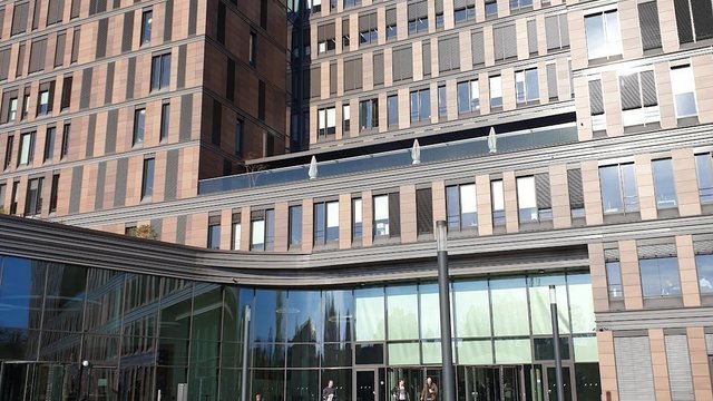 Frankfurt School of Finance & Management
