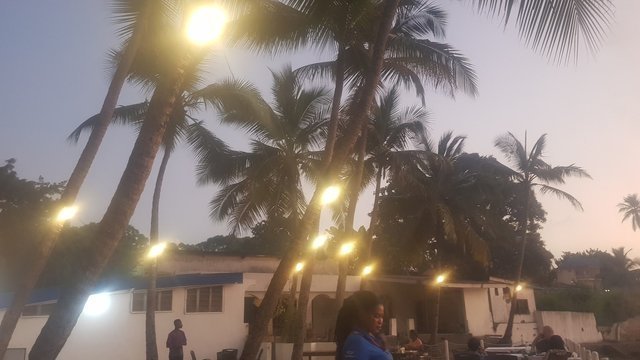 Alex's