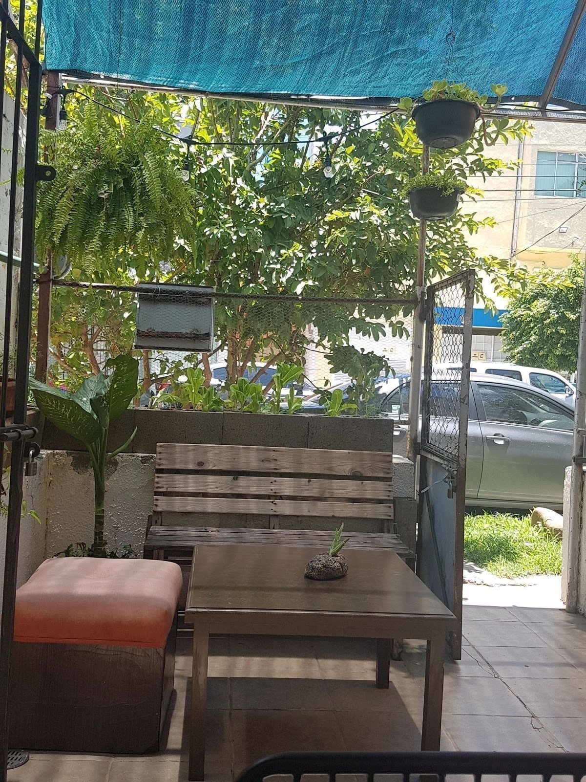 <span class="translation_missing" title="translation missing: en.meta.location_title, location_name: Berlins Bretzel Wagen - Biergarten, city: Guadalajara">Location Title</span>