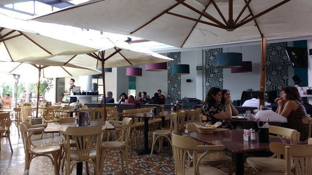 Café Chai Terranova