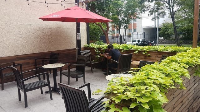 La Borra del Café Hidalgo