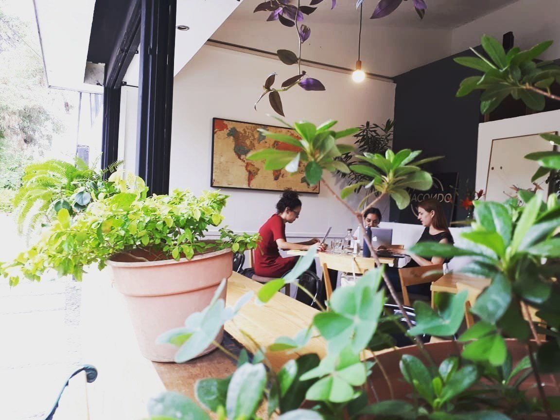 <span class="translation_missing" title="translation missing: en.meta.location_title, location_name: Macondo Coffee, city: Guadalajara">Location Title</span>