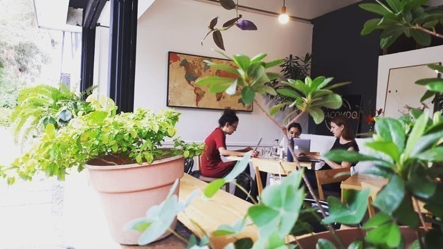 Macondo Coffee