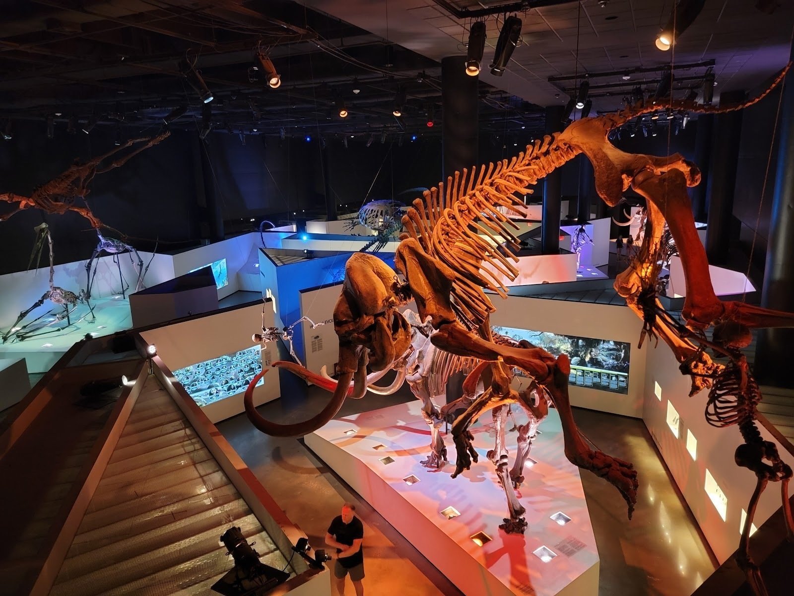 <span class="translation_missing" title="translation missing: en.meta.location_title, location_name: Houston Museum of Natural Science, city: Houston">Location Title</span>