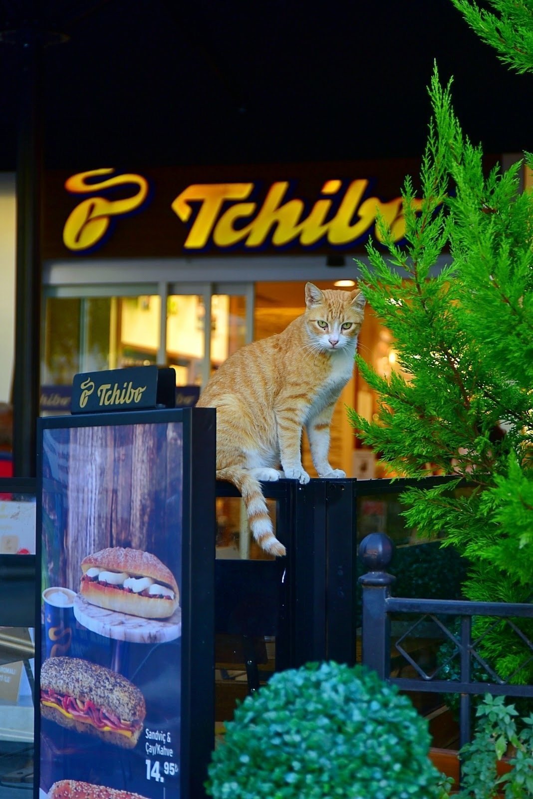 <span class="translation_missing" title="translation missing: en.meta.location_title, location_name: Tchibo, city: Istanbul">Location Title</span>