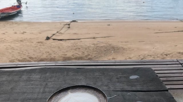 Coconut Monkey