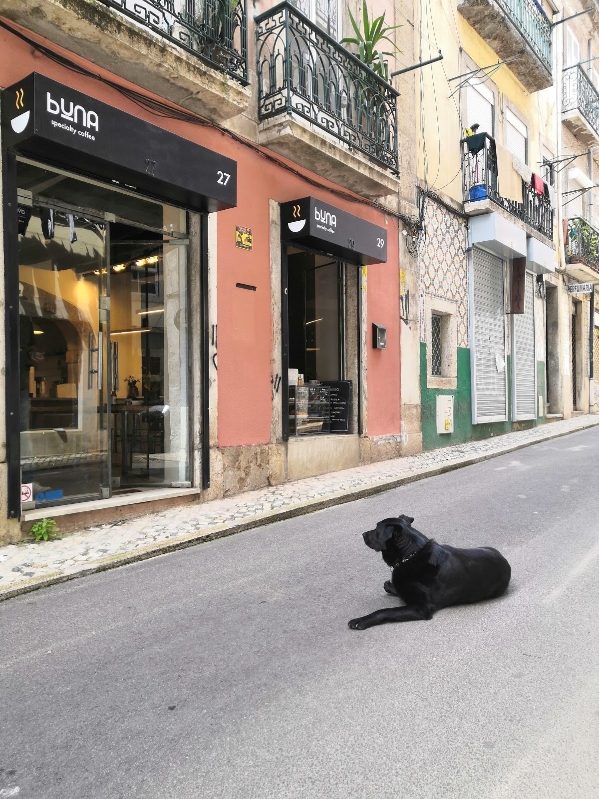 <span class="translation_missing" title="translation missing: en.meta.location_title, location_name: Buna specialty coffee shop, Santos, city: Lisbon">Location Title</span>