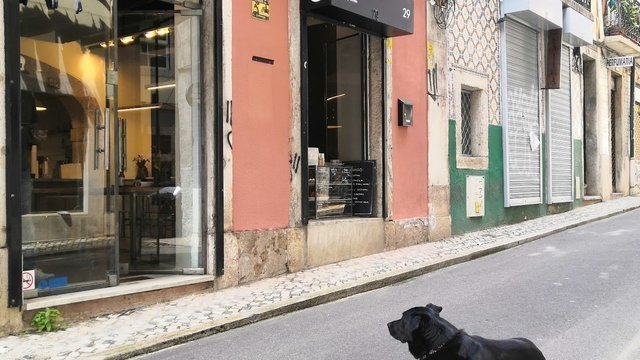 Buna specialty coffee shop, Santos