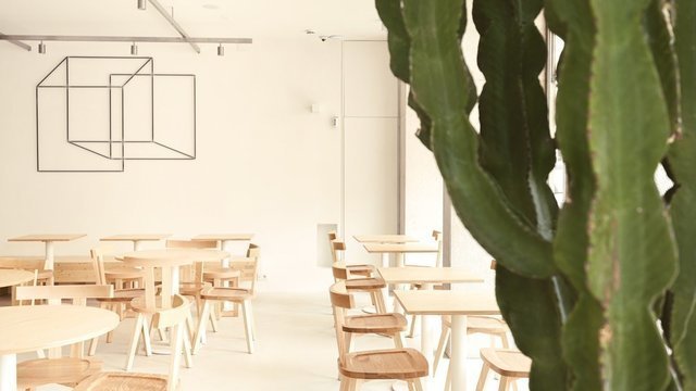 NUMA CAFÉ