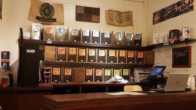 Coffee Plant