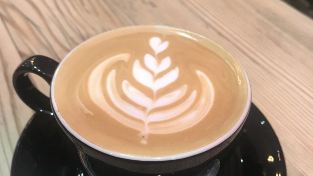 Ditto Coffee