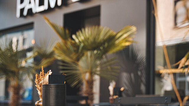 Palm Bowls Mainz