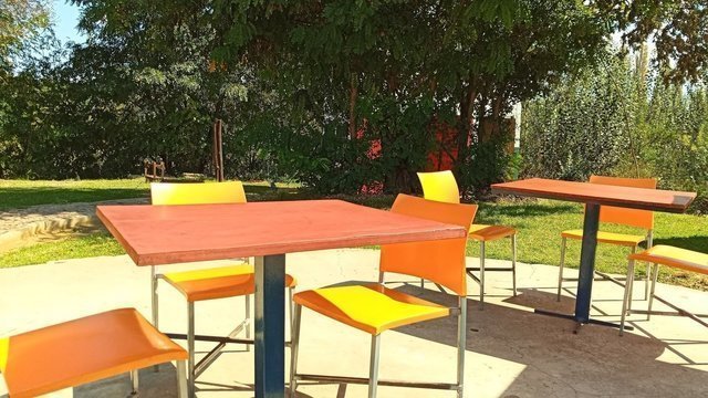 The Deck