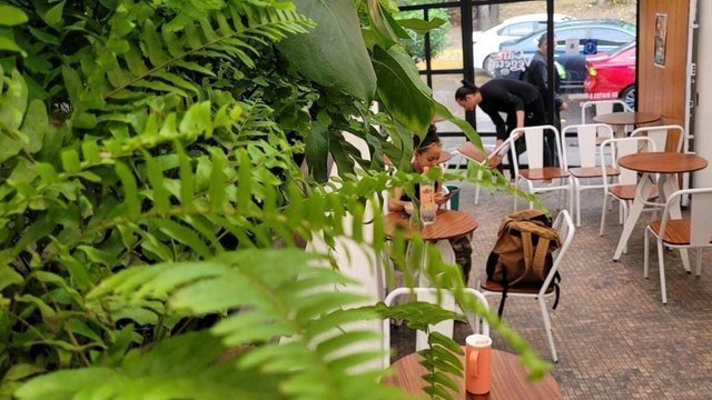 Café Vegetal