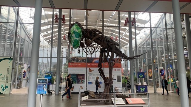California Academy of Sciences
