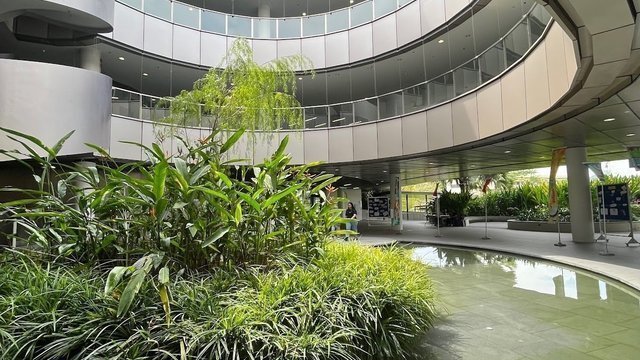 The Arc - Learning Hub North (LHN)