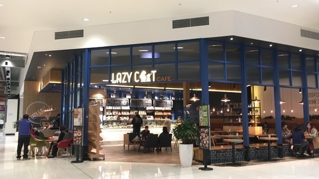 Lazy Cat Cafe