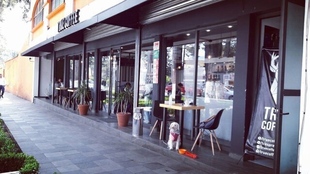 True Coffee Colón