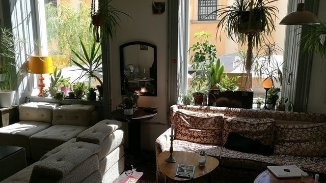 Cafe in der Burggasse 24