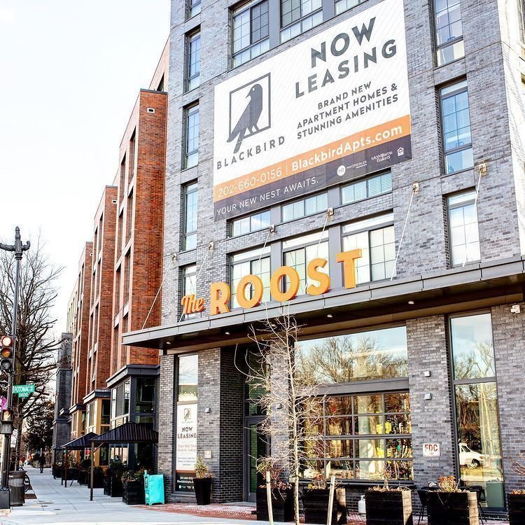 <span class="translation_missing" title="translation missing: en.meta.location_title, location_name: The Roost, city: Washington">Location Title</span>
